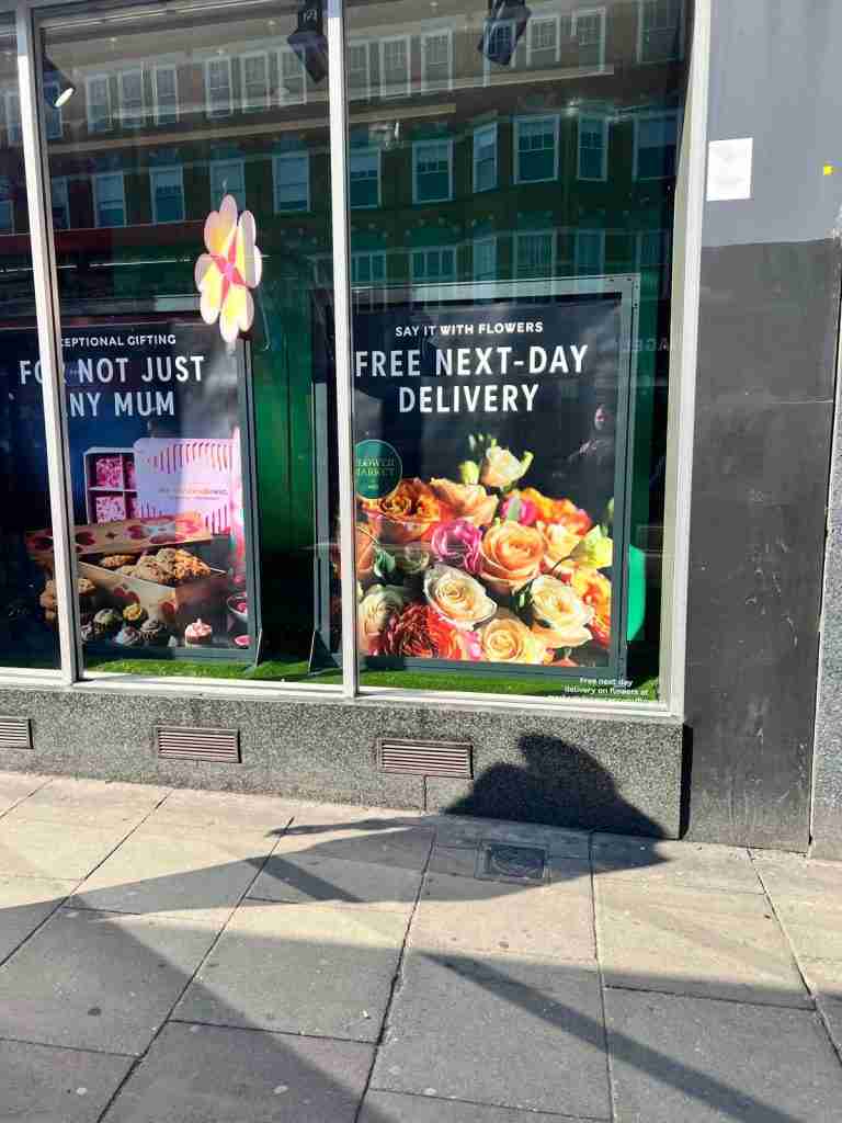 Replace Glass